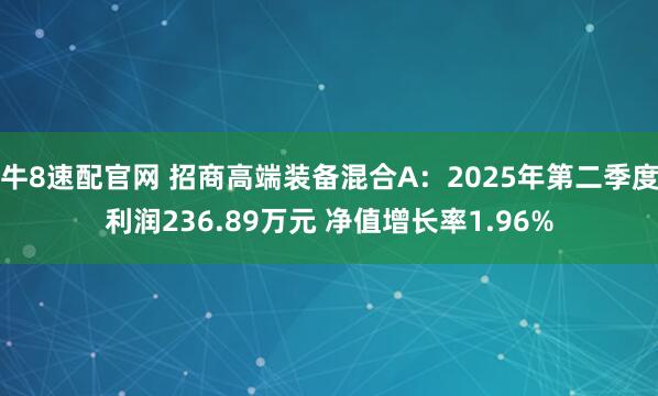 牛8速配官网 招商高端装备混合A：2025年第二季度利润236.89万元 净值增长率1.96%