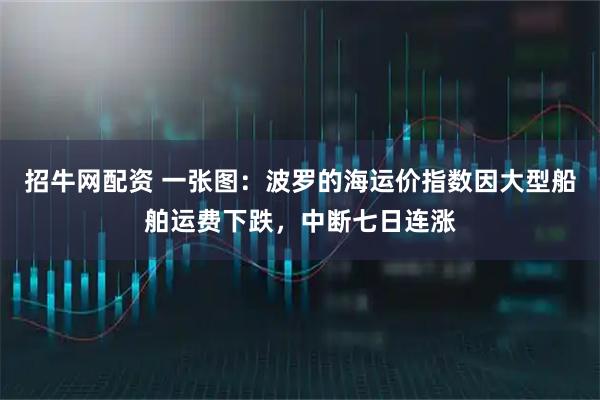 招牛网配资 一张图:波罗的海运价指数因大型船舶运费下跌,中断七日连涨