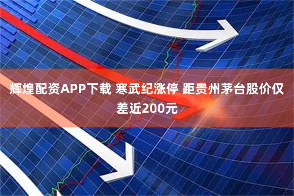 辉煌配资APP下载 寒武纪涨停 距贵州茅台股价仅差近200元